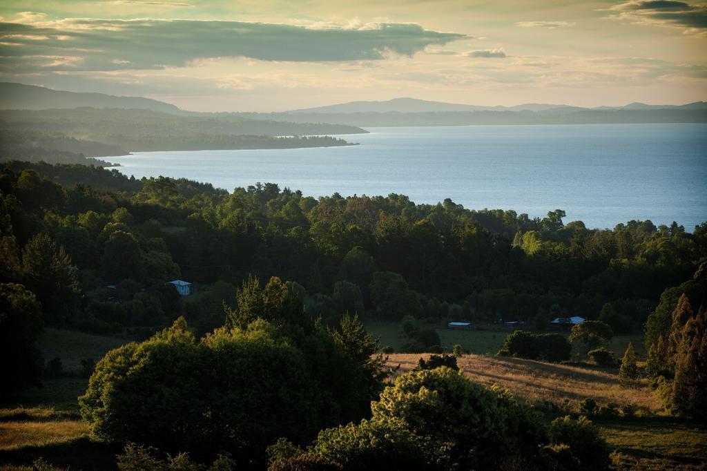 Lake Lodge Pucón المظهر الخارجي الصورة